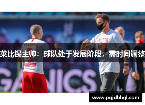 莱比锡主帅：球队处于发展阶段，需时间调整