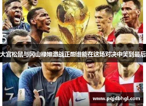 大宫松鼠与冈山禄雉激战正酣谁能在这场对决中笑到最后
