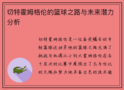 切特霍姆格伦的篮球之路与未来潜力分析