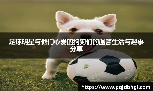 足球明星与他们心爱的狗狗们的温馨生活与趣事分享