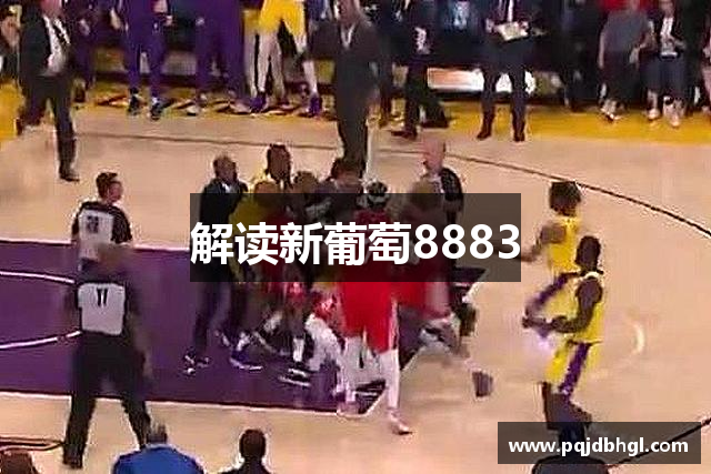 解读新葡萄8883